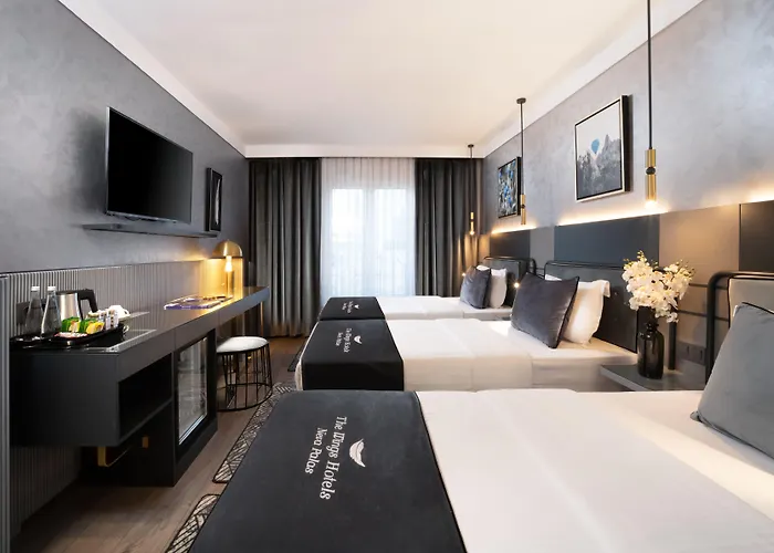 The Wings Neva Hotel 4*