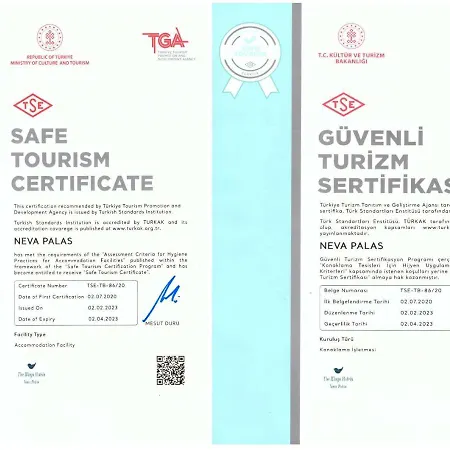 Hotel The Wings Hotels Ankara - Neva Palas Ankara