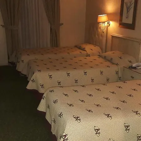 The Wings Hotels Ankara - Neva Palas