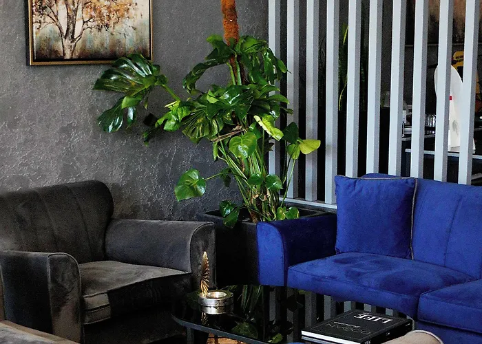 The Wings Neva أنقرة