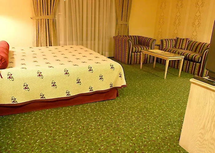 Hotel The Wings Neva