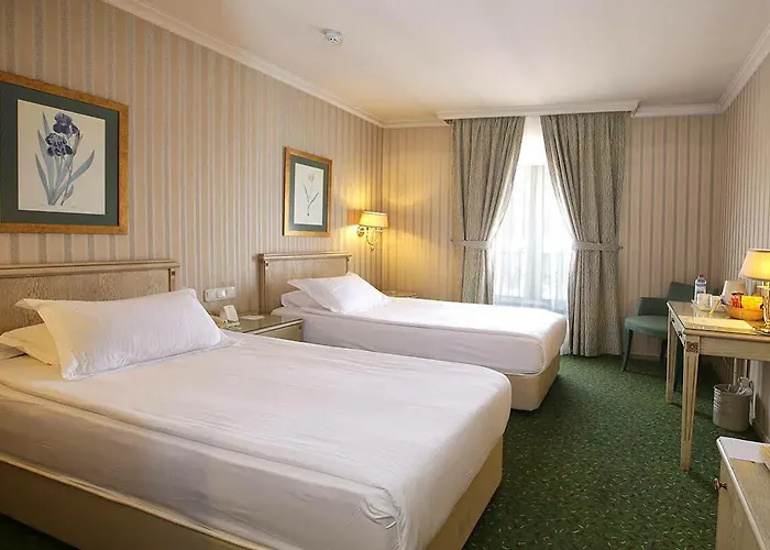 Hotel The Wings Neva 4*