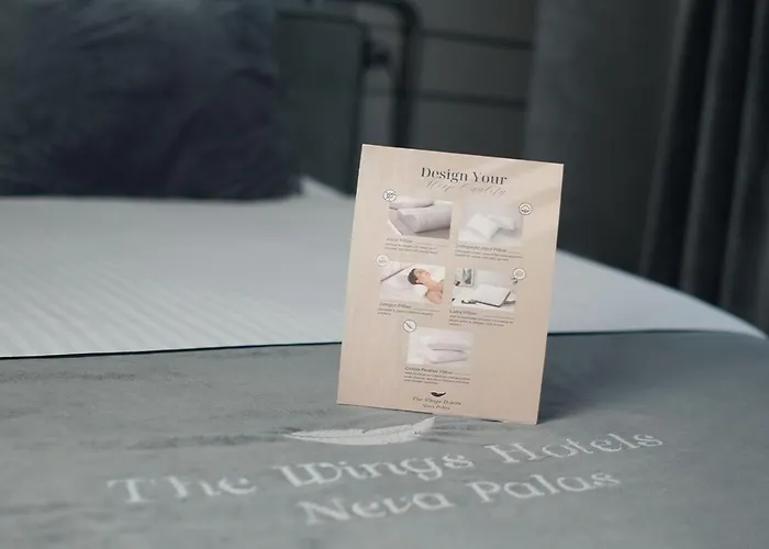 The Wings Neva 安卡拉